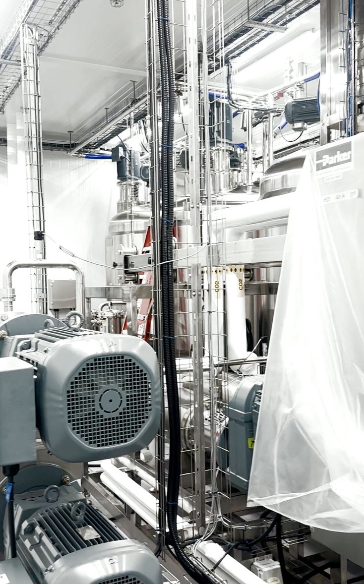 Final phase of commissioning for this 2 TPH margarine and shortening production line in Canada